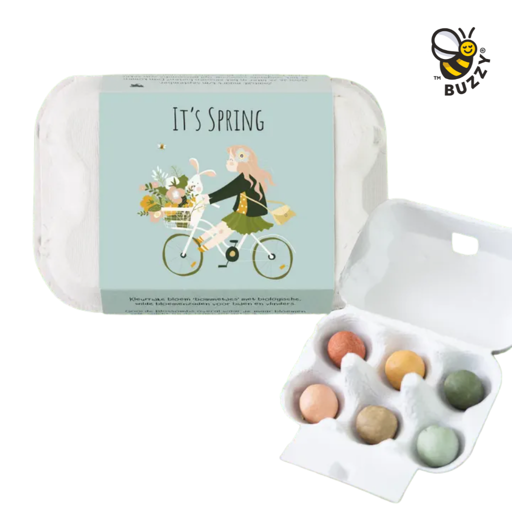 Egg Carton “It's Spring” – 6 Wildflower Seed Bombs Gift