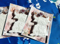 Highland Cow-Themed Plaster Paint Kits for Kids | DIY Paint