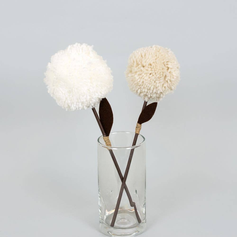 13x12x3 pom pom stems - white or cream