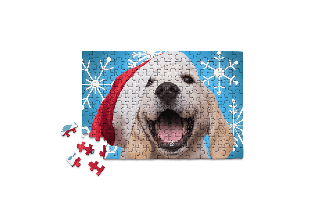HOLIDAYS - SANTA PAWS stocking stuffer christmas gift fun