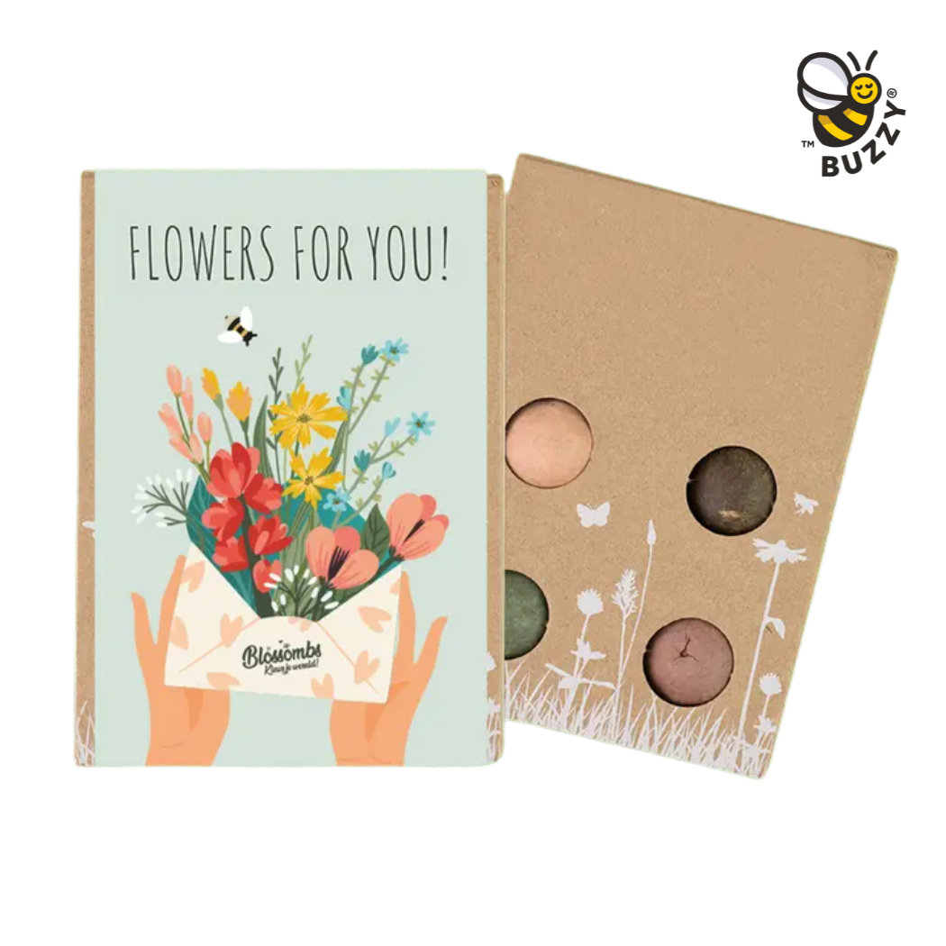Mini Wildflower Seed Box – Flowers For You Gift Set