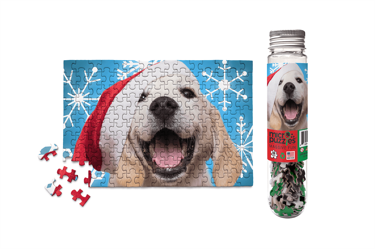HOLIDAYS - SANTA PAWS stocking stuffer christmas gift fun