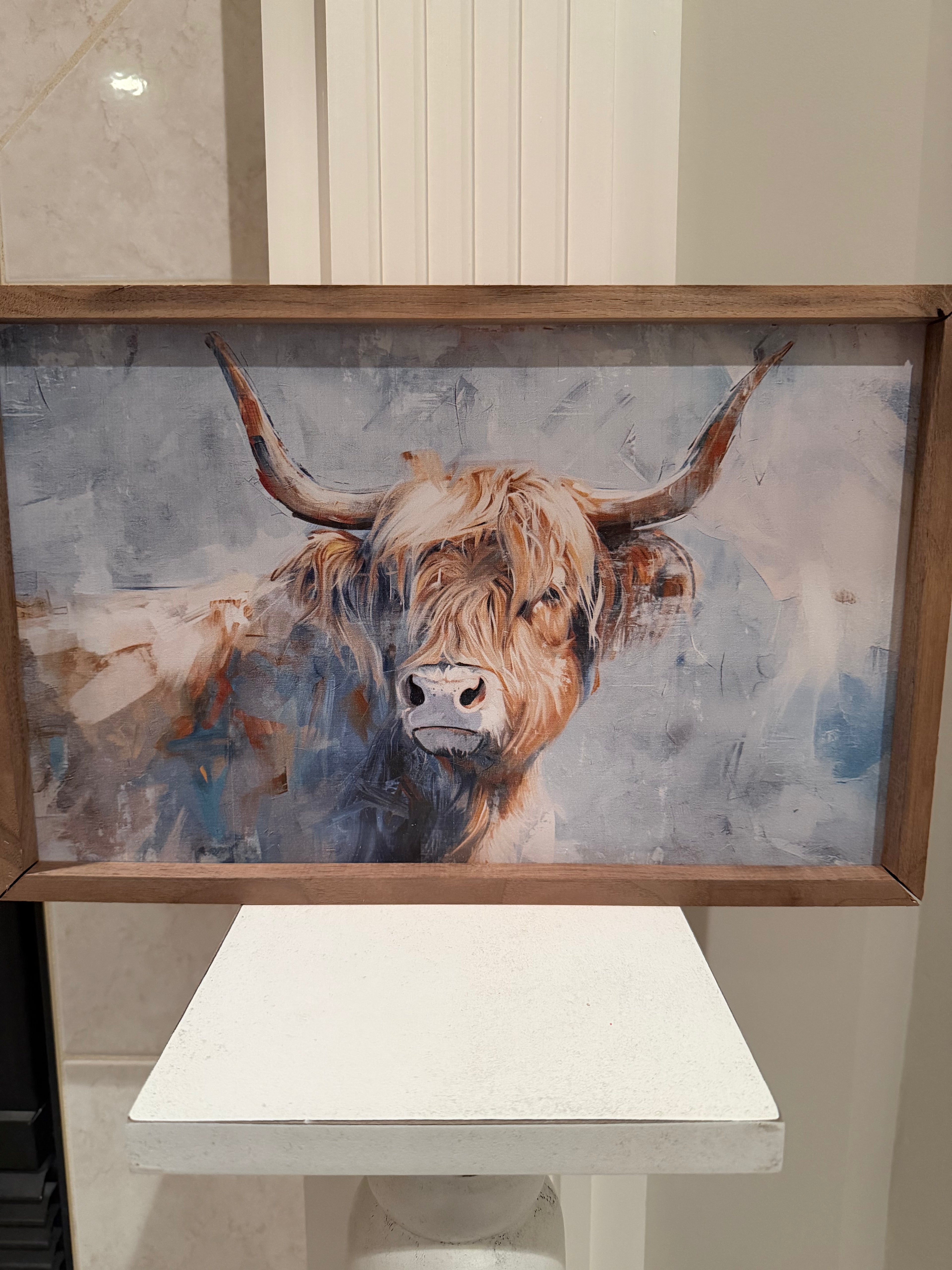 Highland Cow picture