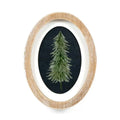 Wood Frame Pine Tree