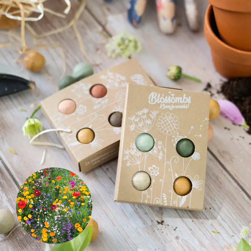 Mini Wildflower Seed Box – Flowers For You Gift Set