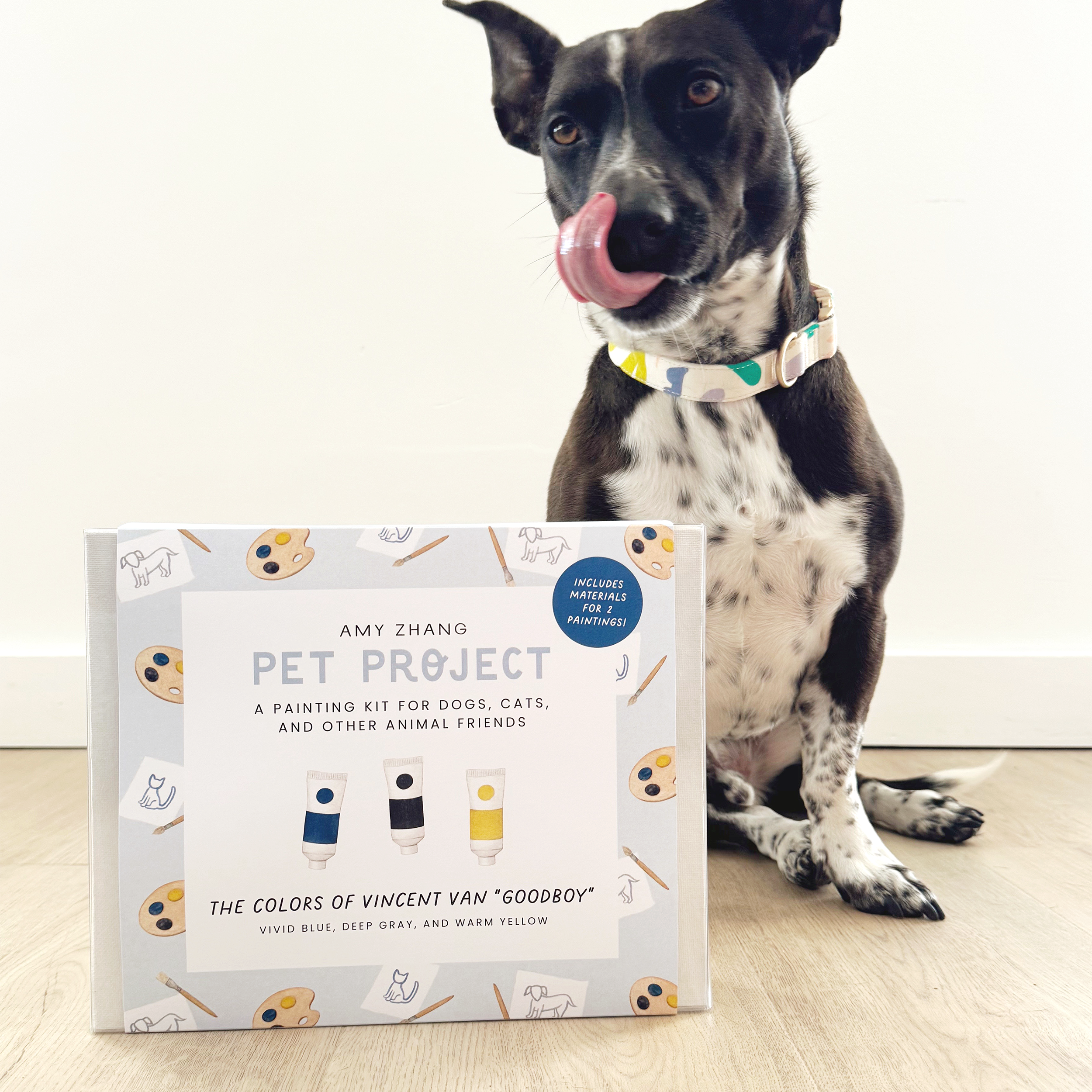 PET PROJECT VAN GOGH — Paint Activity Kit For Dogs and Cats