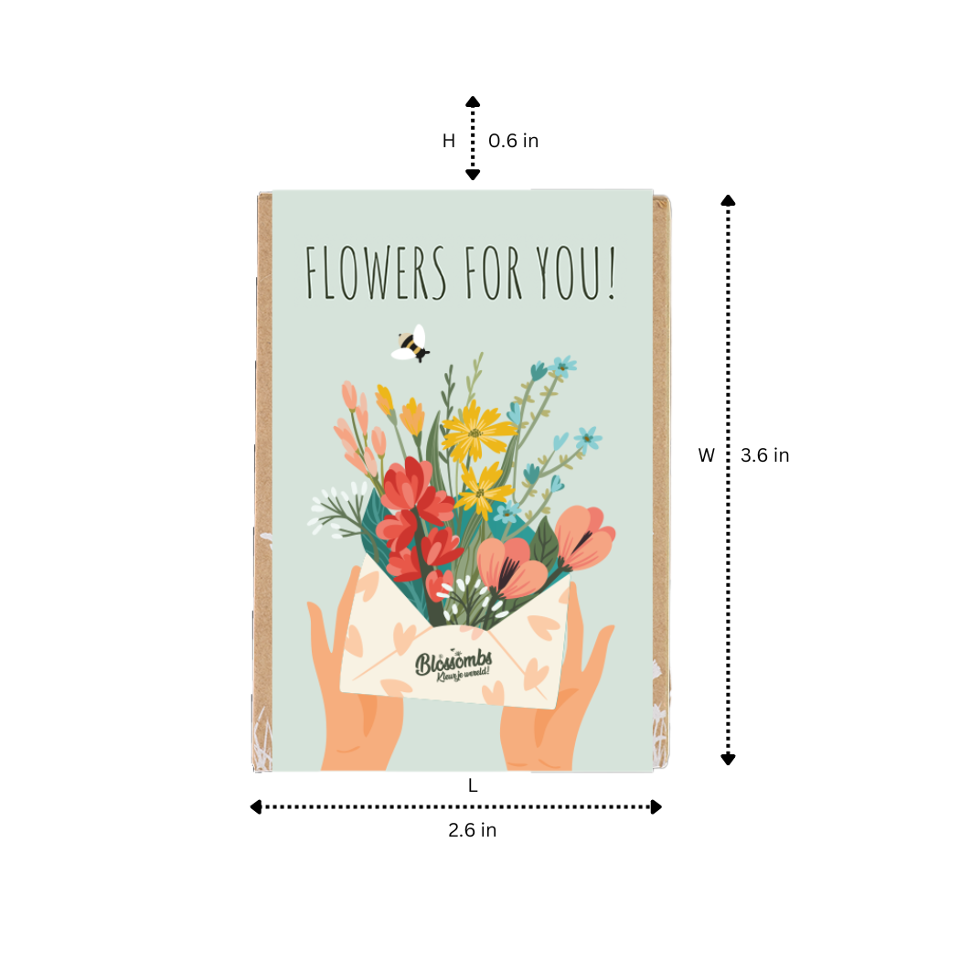 Mini Wildflower Seed Box – Flowers For You Gift Set